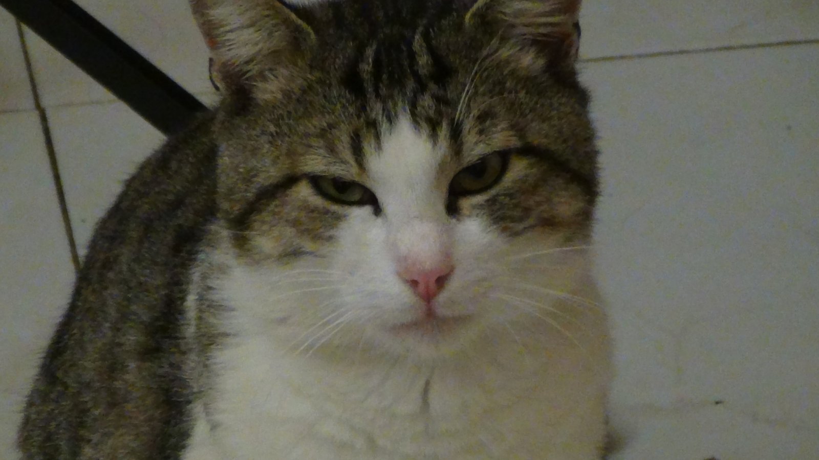 Maree Sonore… Pescatori di suoni…